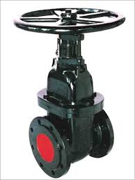 Cast Iron ( Ci ) Valves In Kolkata
