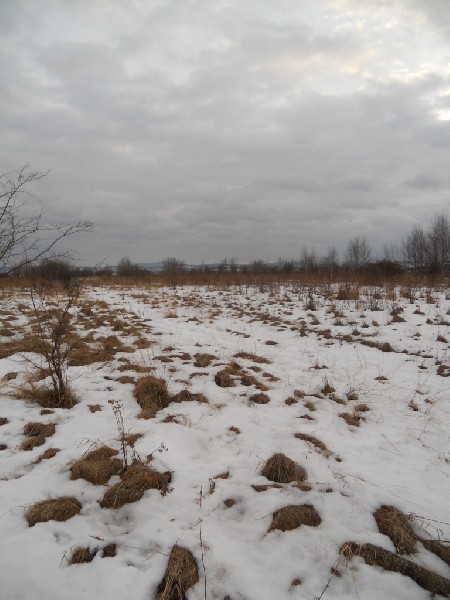 Działka Budowlano-rolna 17,5 Ar W Krośnie 2