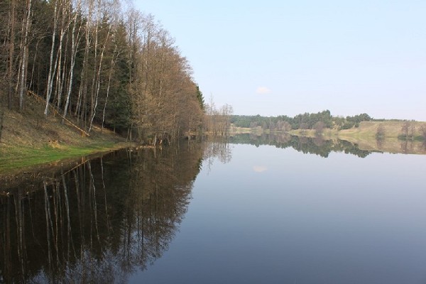 Działka Nad Jeziorem Z Linią Brzegową