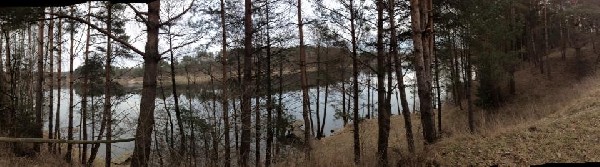 Działka Nad Jeziorem Z Linią Brzegową 3