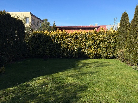 Wynajem Apartamentu Na Wakacje W łebie 2